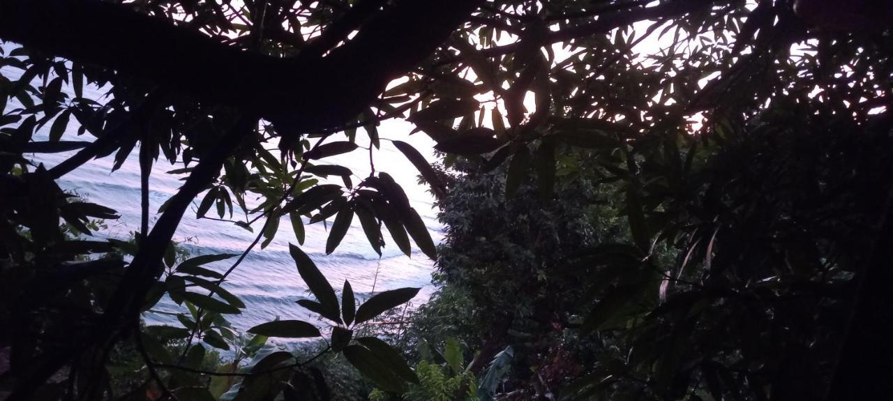 Treehouse Above The Beach Port Antonio Eksteriør bilde