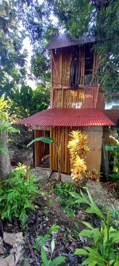 Treehouse Above The Beach Port Antonio Eksteriør bilde