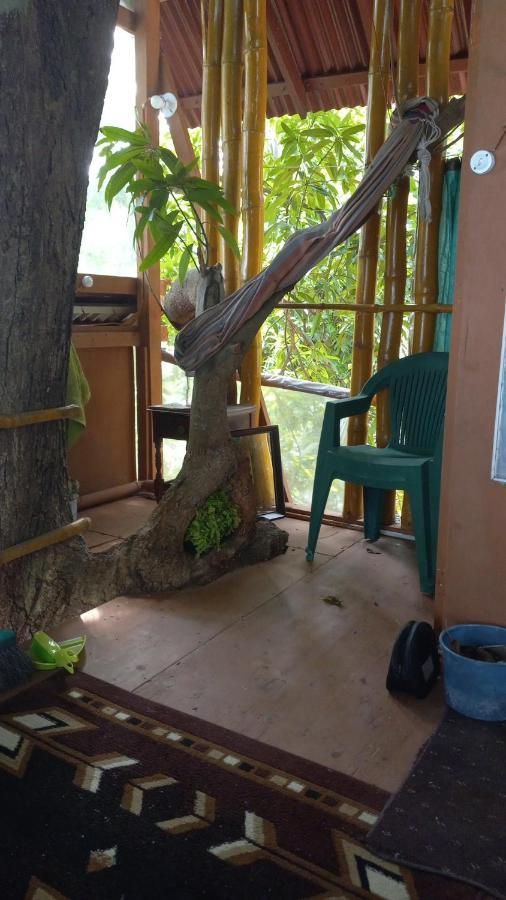 Treehouse Above The Beach Port Antonio Eksteriør bilde