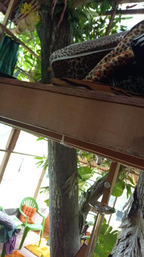 Treehouse Above The Beach Port Antonio Eksteriør bilde