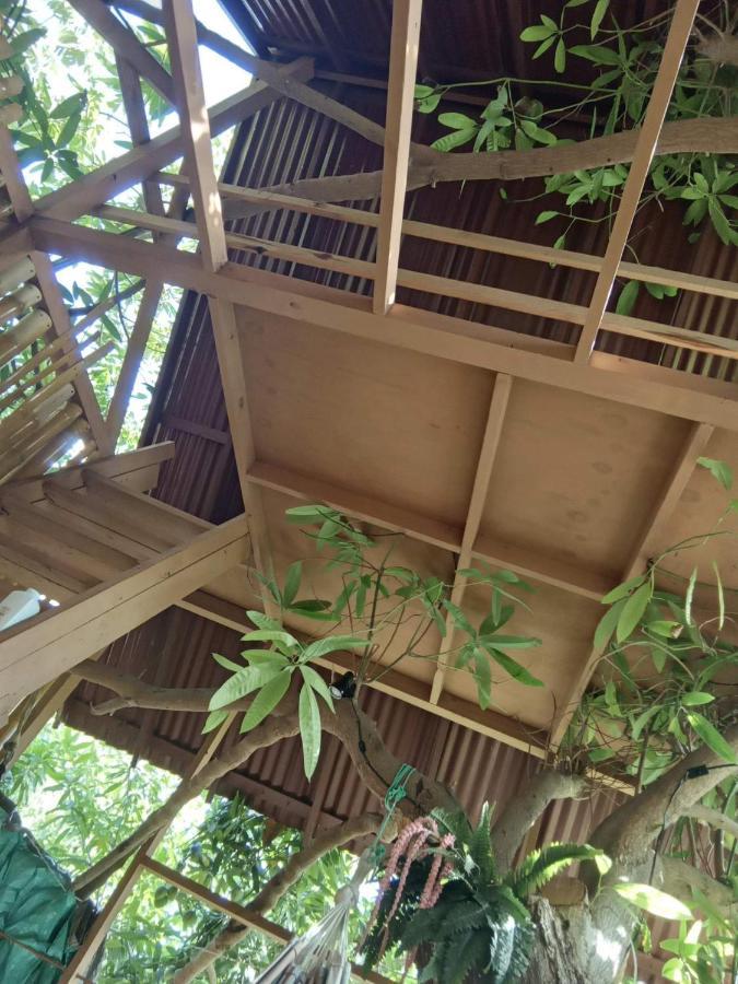 Treehouse Above The Beach Port Antonio Eksteriør bilde
