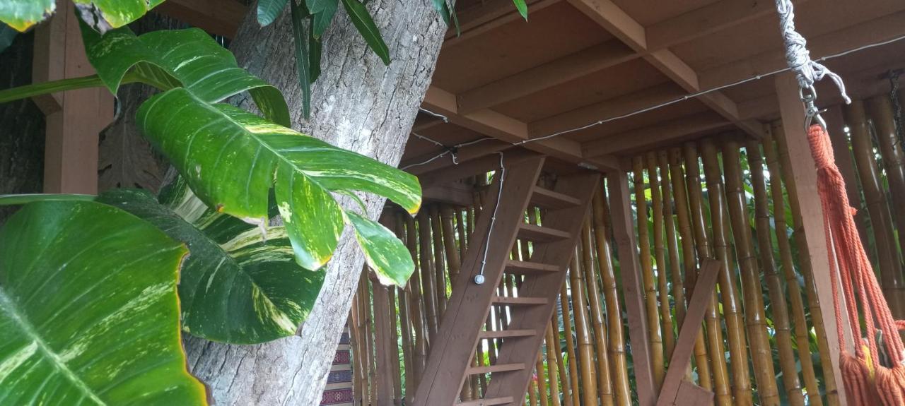 Treehouse Above The Beach Port Antonio Eksteriør bilde