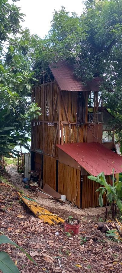 Treehouse Above The Beach Port Antonio Eksteriør bilde