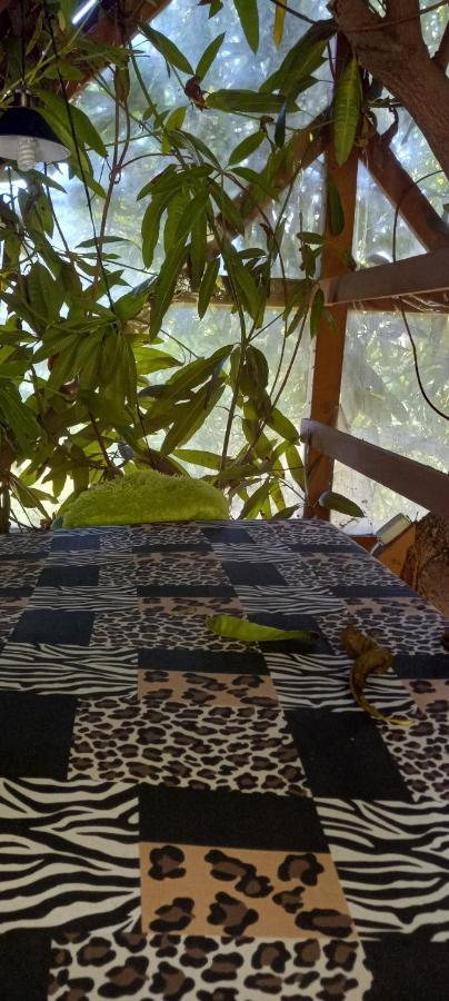 Treehouse Above The Beach Port Antonio Eksteriør bilde