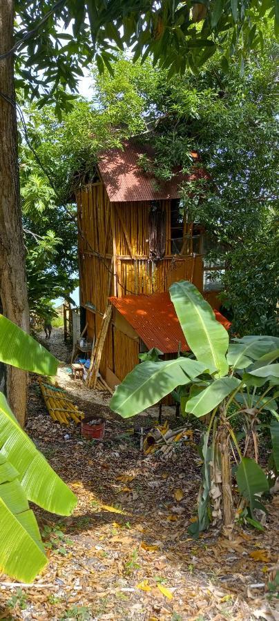 Treehouse Above The Beach Port Antonio Eksteriør bilde