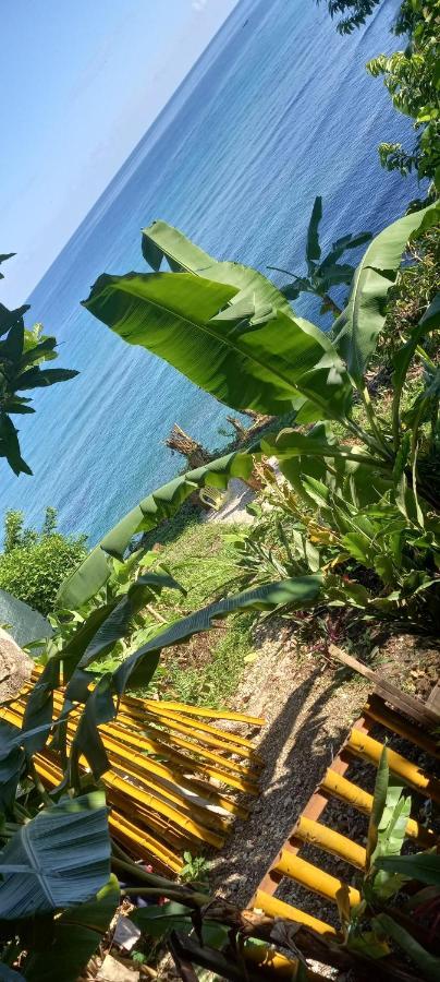 Treehouse Above The Beach Port Antonio Eksteriør bilde