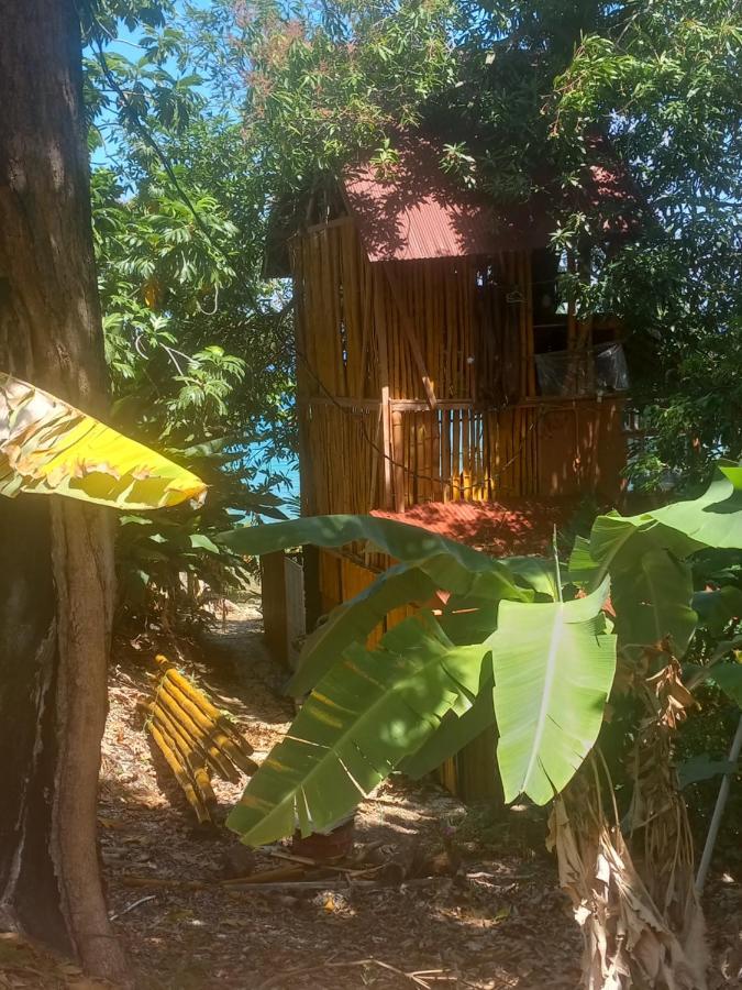 Treehouse Above The Beach Port Antonio Eksteriør bilde