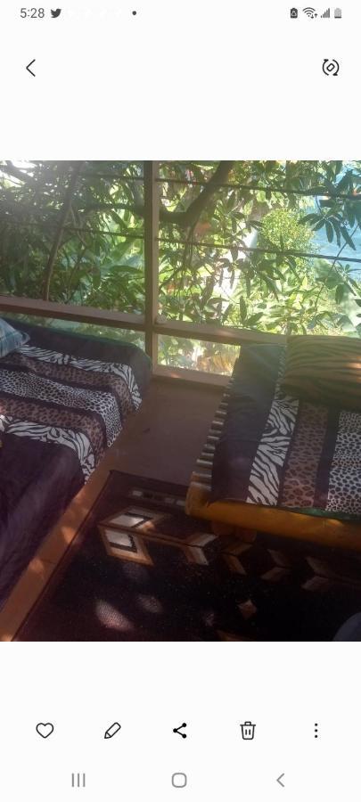 Treehouse Above The Beach Port Antonio Eksteriør bilde