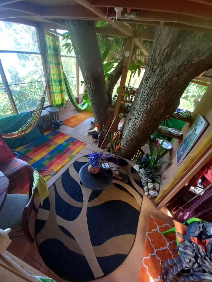 Treehouse Above The Beach Port Antonio Eksteriør bilde